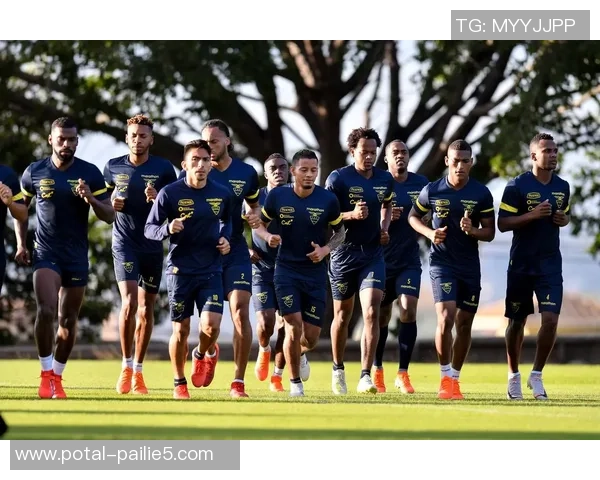 厄瓜多尔与法国足球对决专家分析汇总及比赛前瞻 厄瓜多尔与法国足球对决专家分析汇总及比赛前瞻