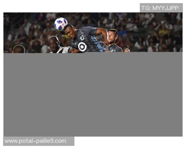 明尼苏达联主场迎战华盛顿球队全力争胜的精彩对决